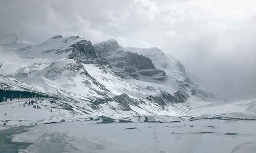 新西兰新移民如何找工作{新西兰对华人态度，妥妥地佛系！}