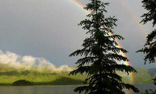 2019新西兰技术移民分数（盘点新西兰境外移民方式，国内申请人三大低成本移