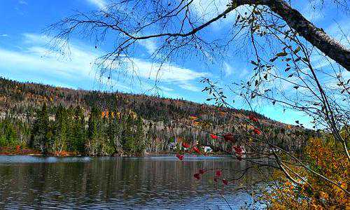 新西兰移民养老政策{港人要比新西兰人更容易申请澳大利亚永居？}