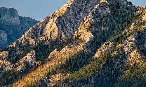 瑞典和新西兰移民{新西兰哪个城市适合移民？“风城”惠灵顿的居住生活独具