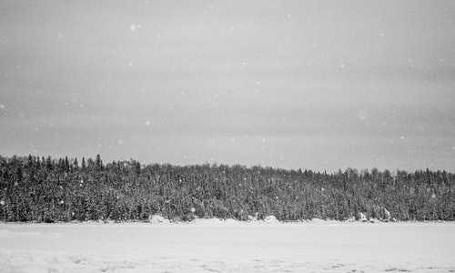 新西兰是移民国家{投资经商和移民身份如何兼得，新西兰投资移民了解一下！