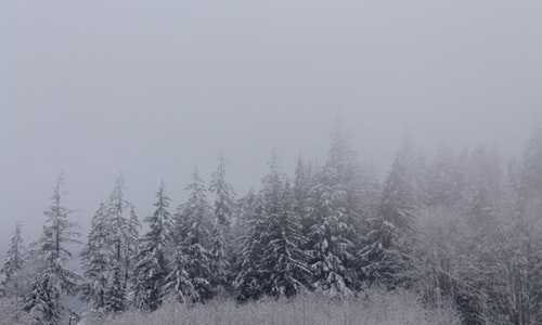 移民新西兰 工作【新西兰移民难度大吗，官方大数据让你一目了然！】