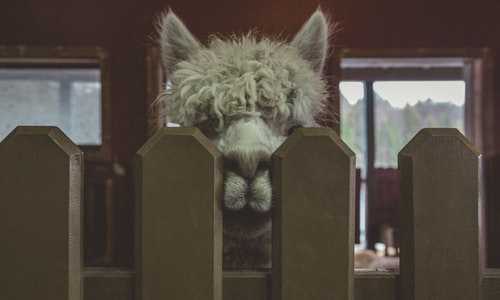 移民美国eb5要排期多久{美国EB-5投资移民吸引全球的商业地产开发商到洛杉矶