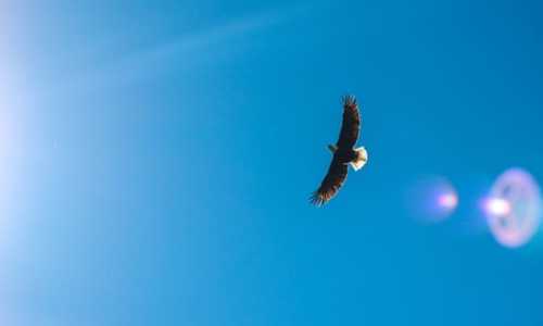 新西兰移民首都（新西兰留学移民水准拔高：八大QS大学排名上升！）