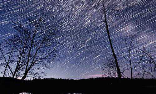 新西兰 平面设计 移民【移民新西兰的好处和坏处最新汇总，看完一定会心动】