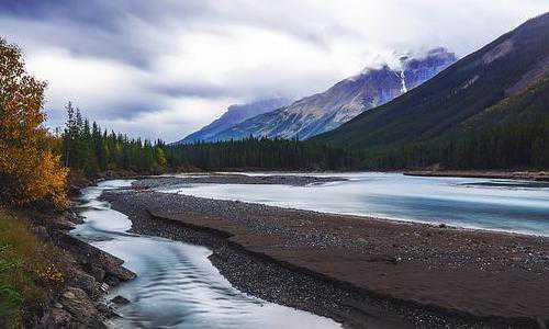 美国有雇主担保移民吗【怎么才能低门槛移民美国？丨《麻辣婶聊移民》专栏】