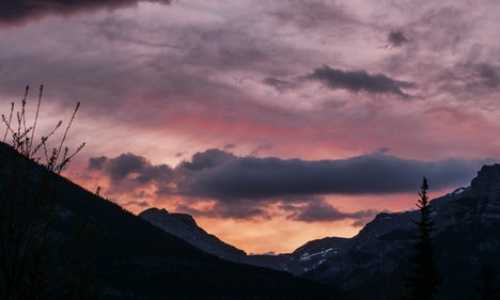 2019年3月美国职业移民情况（这几个行业的人才，在美国最为稀缺，钱多人少！