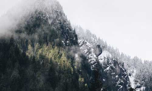 新西兰陪读移民（新西兰移民热度不减，为什么这么多人选择移民新西兰？）