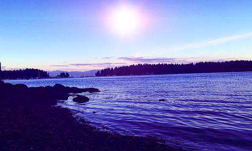 新西兰技术移民新政分析【2019年6月26日新西兰技术移民EOI公布，662人获邀！】