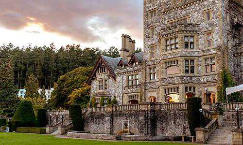 新西兰 移民博物馆（新西兰人才猎头技术移民丨《麻辣婶聊移民》专栏）