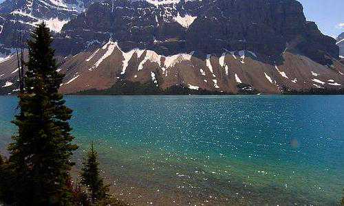 新西兰技术移民薪酬政策{新西兰投资移民有哪些优势？}