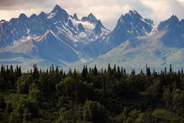 非法移民新西兰{新西兰技术移民职业清单汇总表，详解政策变化之处}