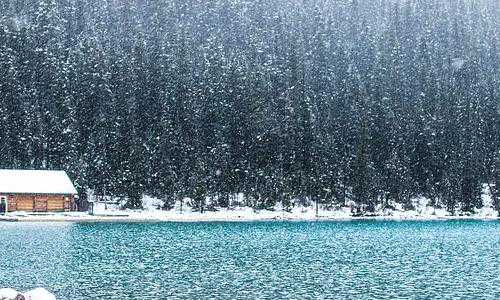 新西兰移民局办公地址在（喜讯！L女士新西兰居留签证顺利获批！）