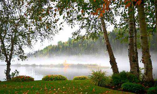 新西兰2019年wtr移民新规定（新西兰有哪些优点和缺点，移民生活能习惯吗（下