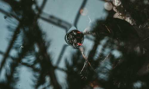 建筑师 新西兰 移民{新西兰华人就业率高平均年薪高达27万}