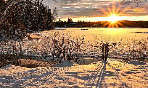 新西兰移民 海外申请表（新西兰留学移民条件）