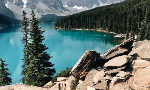 退休移民新西兰{留学方式移民新西兰，学生签证申请注意事项！}