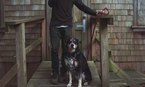 新西兰移民好办【新西兰歧视华人吗，听听老移民分享的真实感受】