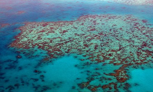 新西兰移民职业认证（新西兰酒店管理专业好移民吗，就业前景怎么样？）