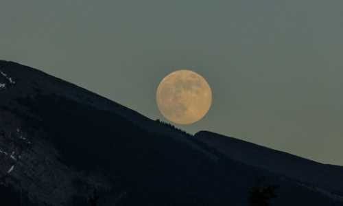 新西兰创业移民申请被拒原因（2018年新西兰移民排期如何查询？）