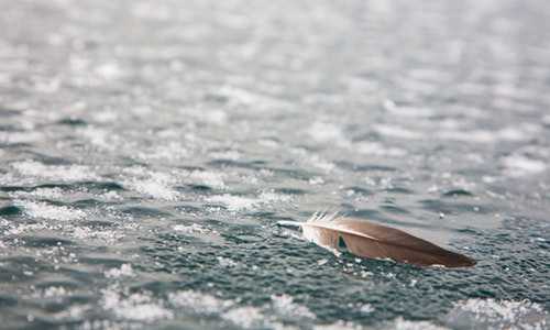 新西兰公民移民英国【2020年留学新西兰，你还在纠结去哪个城市？】