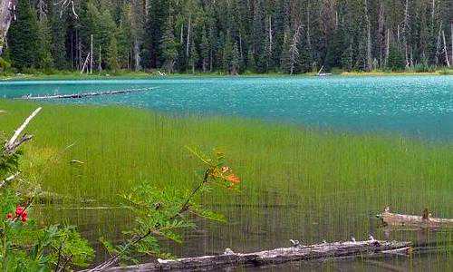 新西兰养老投资移民【新西兰留学移民三步走，移民新西兰有技巧！】