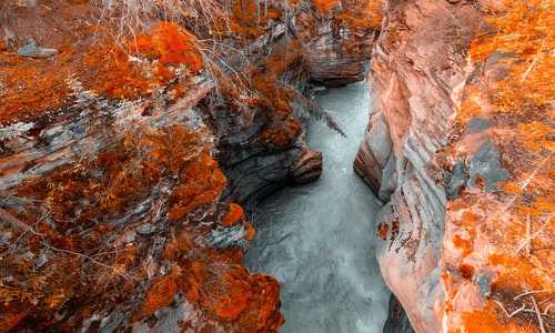 2020新西兰移民政策【新西兰教育再受认可：国际化程度高】