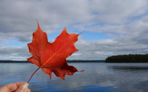 新西兰 普创移民【移民科普：新西兰教育完全解读！】